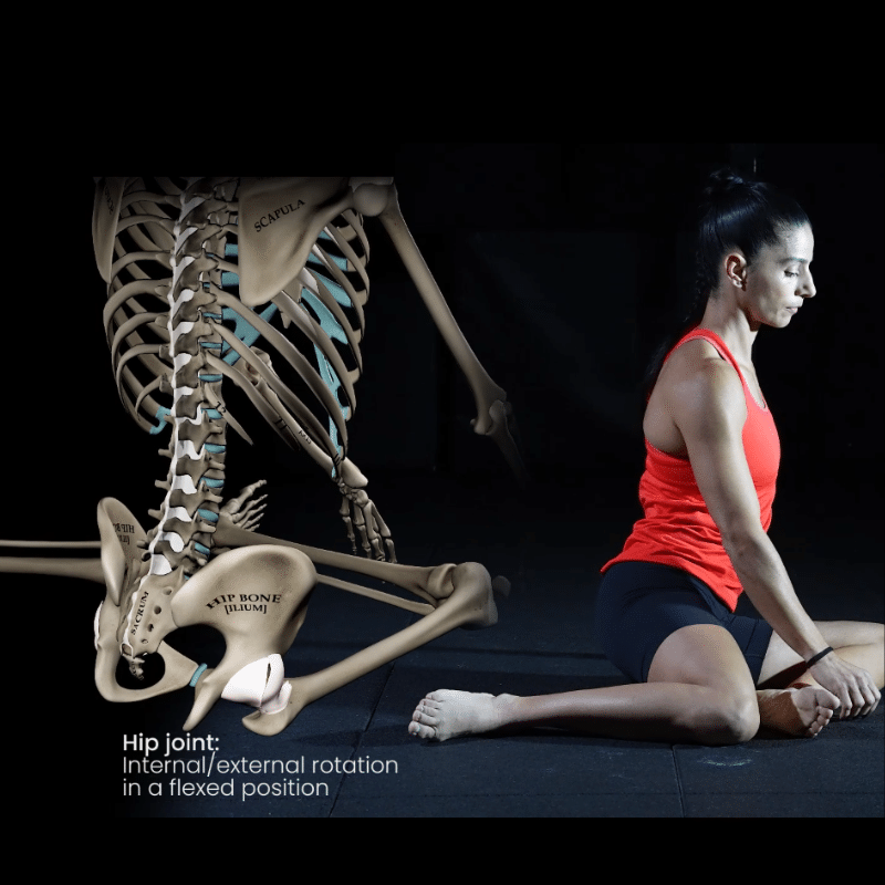 Blog featured image Optimal Movement