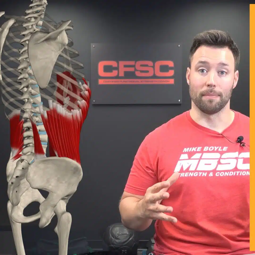 Position and Function