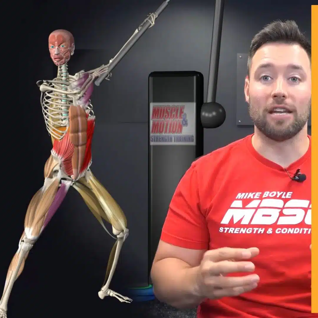 What Is Functional Anatomy