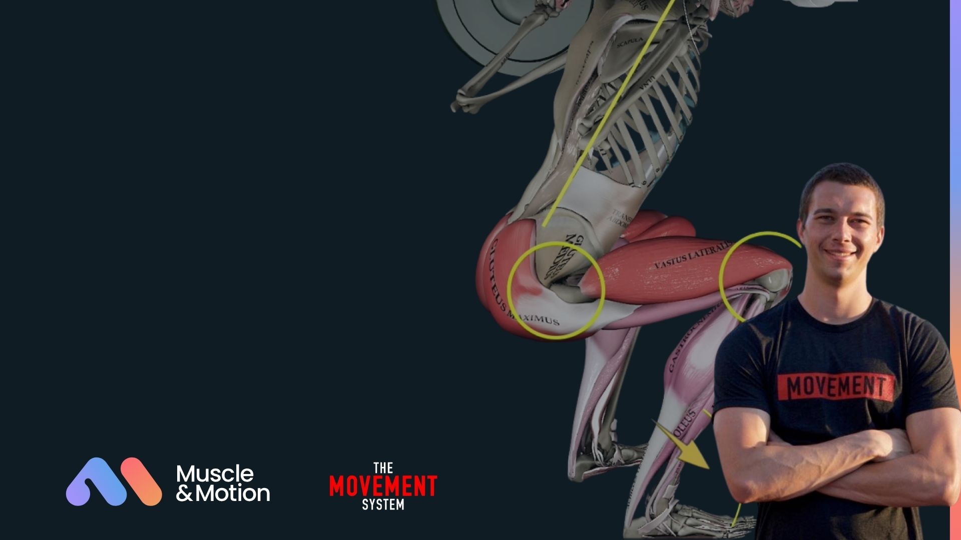 The Anatomy and Bio of movement course