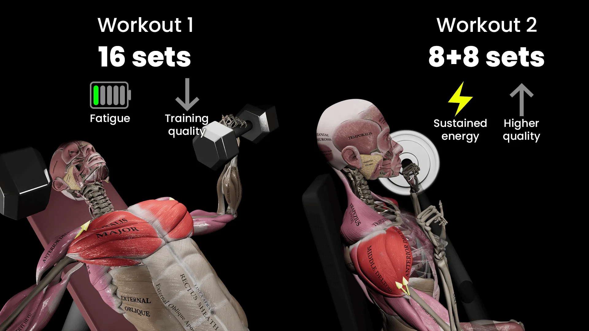 Sets per session
