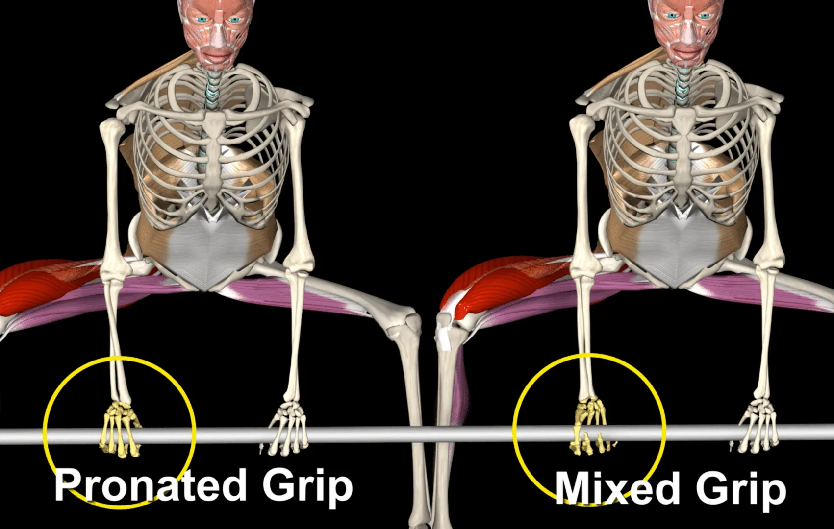 pronated Grip